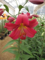 [4140 Musassi No202.JPG]